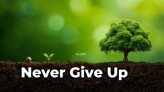 🌱 The Little Seed | Short Inspirational Story for Kids