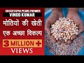 कैसे एक इंजीनियर बना मोतियों की खेती का सफल किसान I Pearl Farming I Moti ki kheti