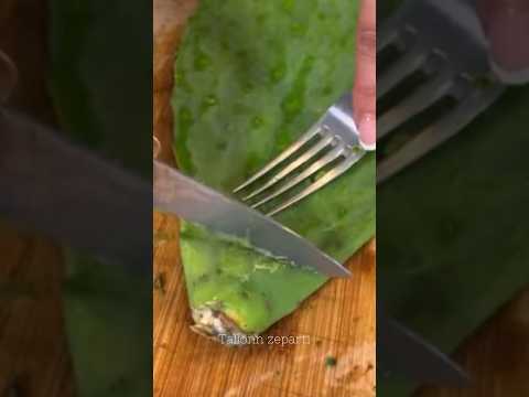Cactus lunch Would you try it?
