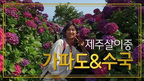 88씨커멍 일상V-log 제주살이중 가파도&수국