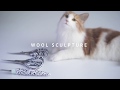 Wool Sculpture of Norwegian Forest cat / 羊毛造形猫（ノルウェージャン）（羊毛フェルト）