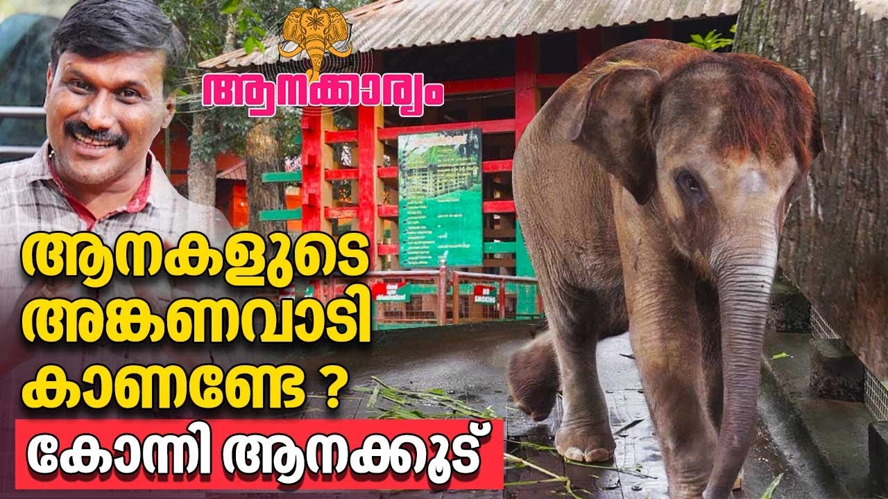 EP 81 | ആനകളുടെ അങ്കണവാടി കാണണ്ടേ? | കോന്നി ആനകൂട് | Konni Elephant Reserve | Aanakkaryam
