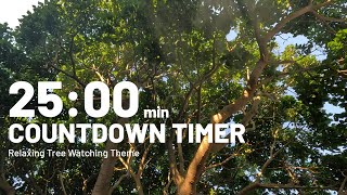 25-Minute Summer Bliss Countdown 🌿 | Braai Smoke & Rustling Leaves