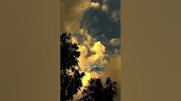 إن الذين قالوا ربنا الله ثم استقاموا – القارئ رعد الكردي | سورة فصلت