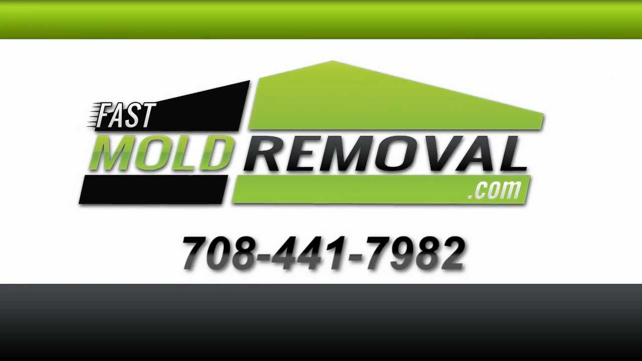 MMR mold stain remover-Attic Mold Stain Remover-Crawlspace Mold