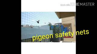safety nets available