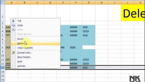 Lesson # 21 The Delete Microsoft Office Excel 2007 TutorialUrdu & Hindi   YouTube