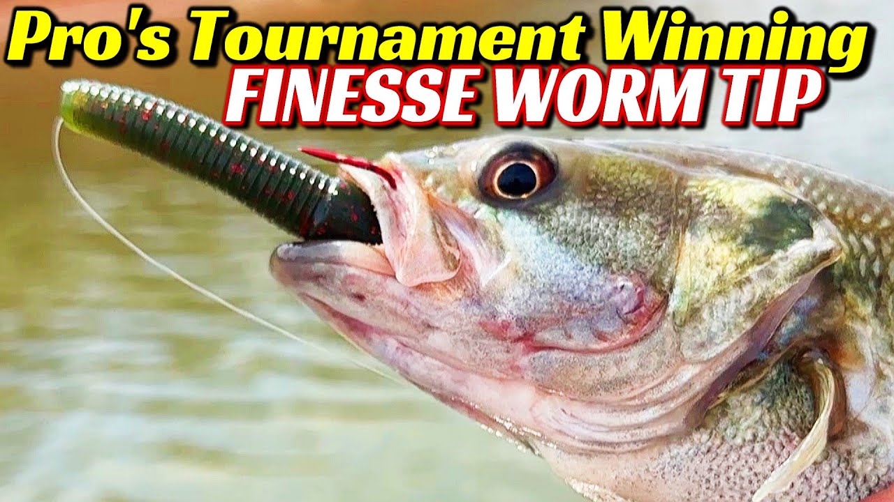 Spring Fishing Just Got EASY With This One Simple Tip