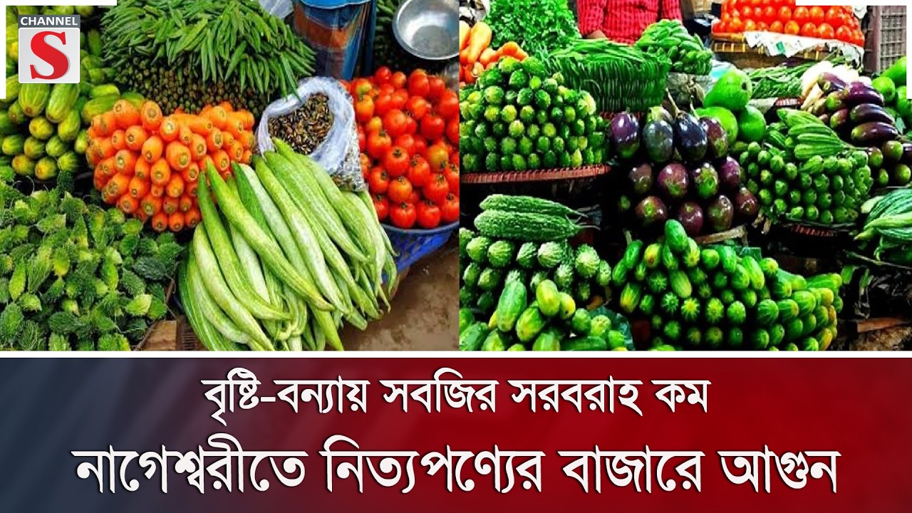 বৃষ্টি-বন্যায় সবজির সরবরাহ কম, নাগেশ্বরীতে নিত্যপণ্যের বাজারে আগুন | Channel S News