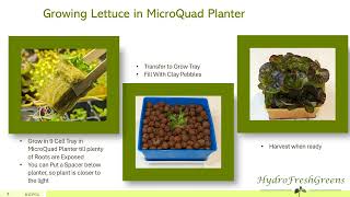 Lettuce Growing Guide using the MicroQuad Planter