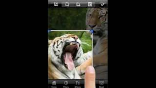 Cropping & Cross Processing with PhotoWizard