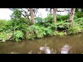 Australian bass - bait junkie