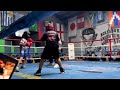 El bho ciro exhibition fight  boxing
