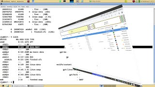 FreeBSD and antiX Linux dual boot partition schema