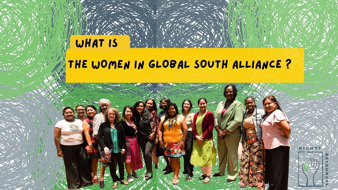 Women in Global South Alliance (WiGSA) YouTube
