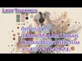 शहर की रात में संगीत 🌙 Musik di Malam Kota 🌙 Music in the City Night 🌙 都会の夜の音楽 🌙