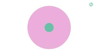 Techni Sport Ts42 Kawaii