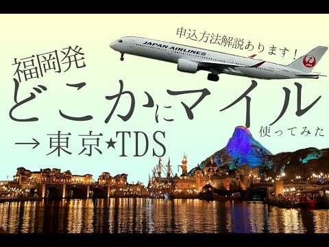 （福岡発）どこかにマイル使ってみた！東京・TDS旅【申込方法解説あり】