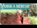 Hagamos un mercado sostenible y amoroso || VLOG || De Nova con Amor