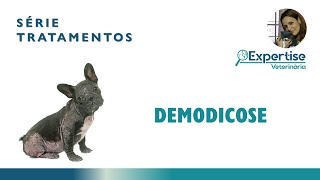 Série Tratamentos - Demodicose