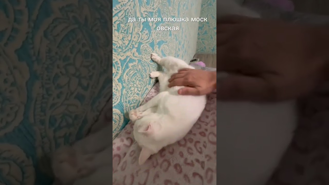 Руна моя булочка 