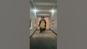 bear chases person down hall (original)