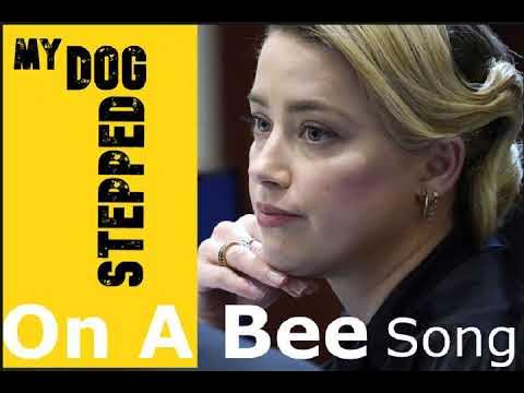 my dog stepped on a bee - song and lyrics by Mac Rockelle, Amber