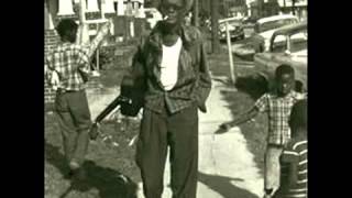 Sam Lightnin' Hopkins - Cotton