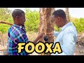 Geedka Aan Lagu Iibin Dalka Laga Soo Saaro Laakiin Loo Dhoofiyo Dalalka Kale Geedka Aan Lagu Iibin Dalka Laga Soo Saaro Laakiin Loo Dhoofiyo Dalalka Kale
