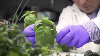 Room To Grow Princetons Vertical Farming Project