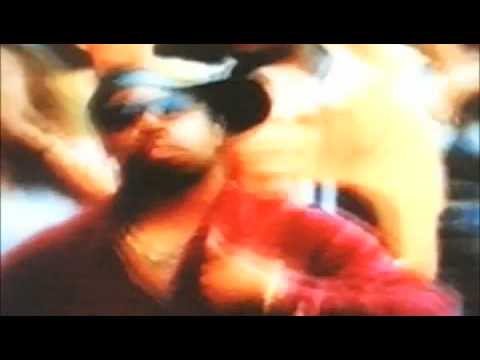 leafnuts i have never remix