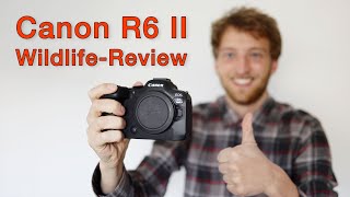 Canon R6 Mark II: The Perfect Camera for Bird Photography? A Detailed Review