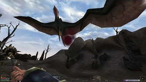 Playing Morrowind like DOOM Eternal