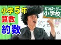 小５算数「約数」