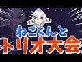 ねこくんとトリオ大会勝ってきた!【フォートナイト】