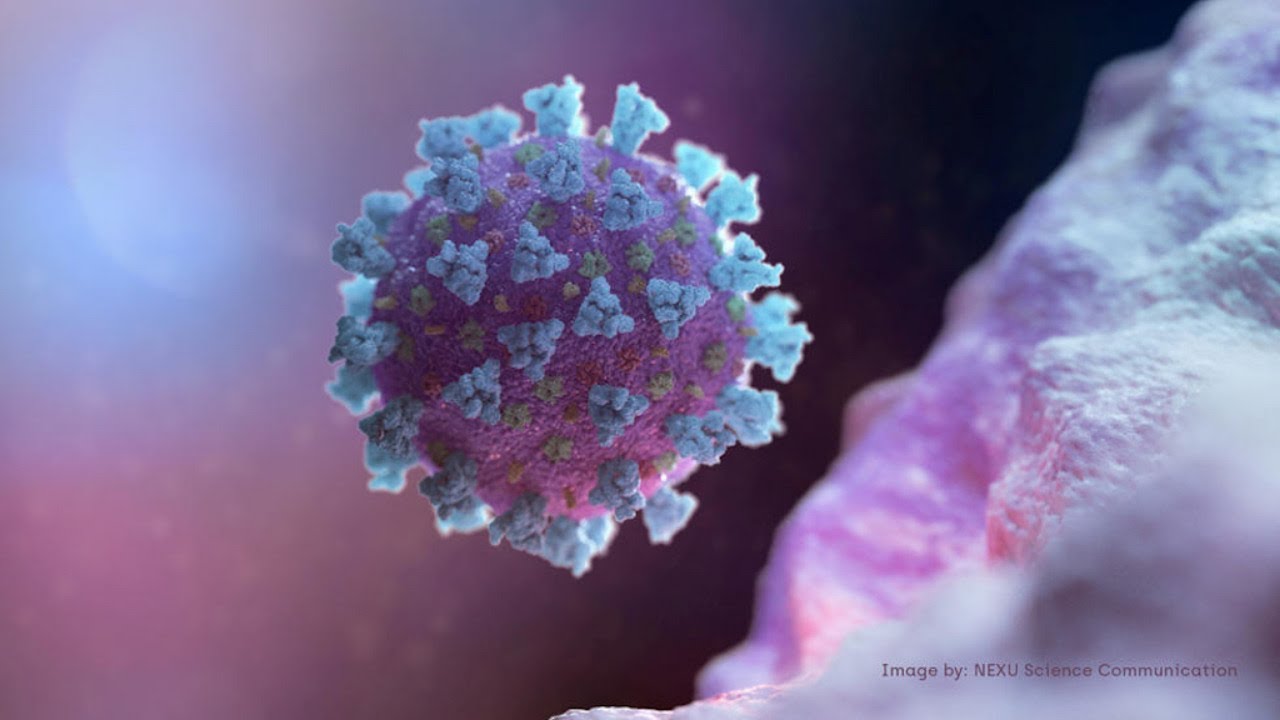Covid-19, virus de laboratorio o prodigio de la naturaleza