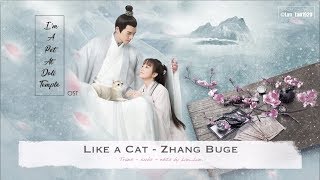 [ ENG Sub/Pinyin ] OST | Like A Cat - Zhang Buge | I'm A Pet At Dali Temple | 我在大理寺当宠物