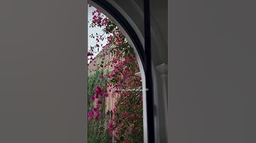 لَا تَدْرِي لَعَلَّ اللَّهَ يُحْدِثُ بَعْدَ ذَٰلِكَ أَمْرًا ...💕🌸.#قرآن #سورة_الطلاق
