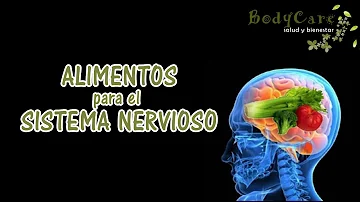 ¿Qué alimentos son buenos para el nerviosismo?