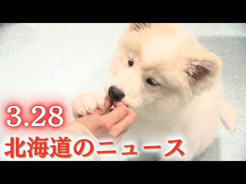 3月28日（金）北海道 #夜のニュース