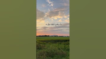 #foryou #تلاوه_خاشعه #محمود_الشحات_أنور #القران_الكريم #like #اكسبلور #دويتو #اهميه #quran #duet