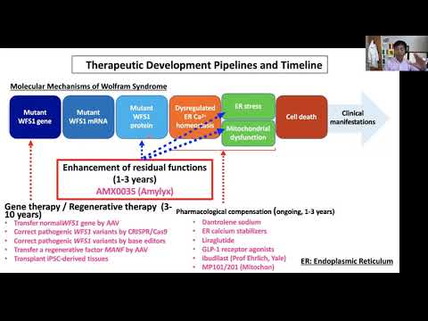 Novel therapies for Wolfram syndrome   Dr Fumihiko Urano