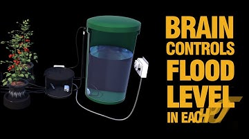 IWS Flood and Drain   Hydroponic System