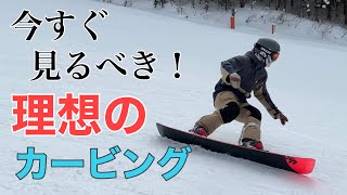全日本チャンピオン【JSBA現役デモンストレーター】【ハンマーヘッド編】田口瑞樹 Taguchi Mizuki / Gray - DESPERADO Type-R【スノーボード】