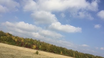 T-rex 700N DFC os 105hz-r