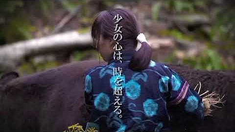映画「神牛の蹄」ＰＲ予告（カラー）／PR trailer (color) for the film “The Hoof of the Divine Bull