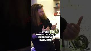 Elraenn 'in Kedisi ile Yaşadığı Viking Evi @Elraenn | Tuğkan Gönültaş #noluyoya