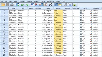 Codebook of Likert scale questionnaire from SPSS