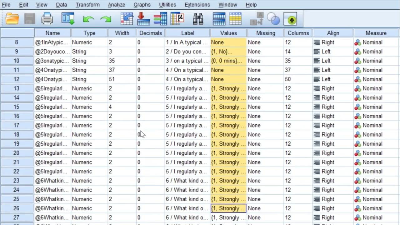 Codebook of Likert scale questionnaire from SPSS YouTube