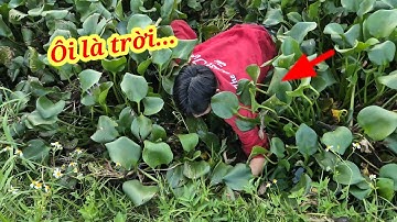 Thăm lờ cá lóc kiểu Nầy chắc ae cười vỡ bụng.
